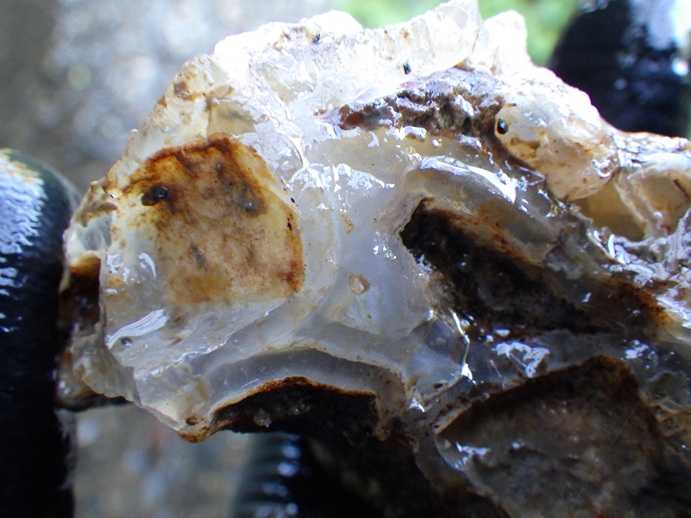 2025.9.23氷魂玉魄　新潟阿賀野産上質苔瑪瑙 秋冷の候 玉川編 茨城・玉川メノウ - ジノ。