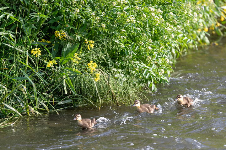 blog_pic02596.jpg
