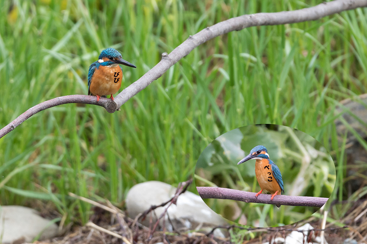 blog_pic02597.jpg