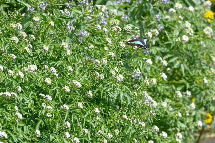 blog_pic02634.jpg