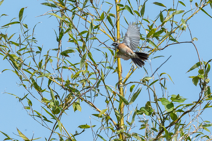 blog_pic02637.jpg