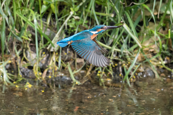 blog_pic02641.jpg