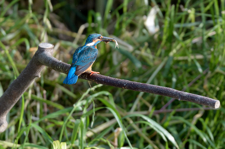 blog_pic02765.jpg