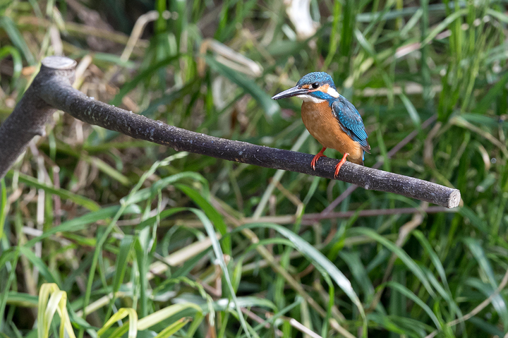 blog_pic02769.jpg