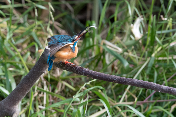 blog_pic02771.jpg