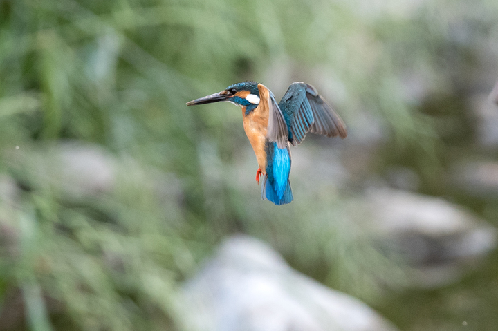 blog_pic02779.jpg