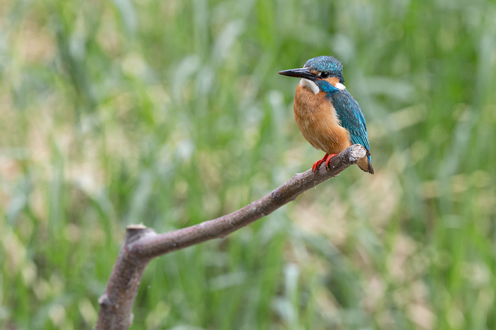 blog_pic02784.jpg