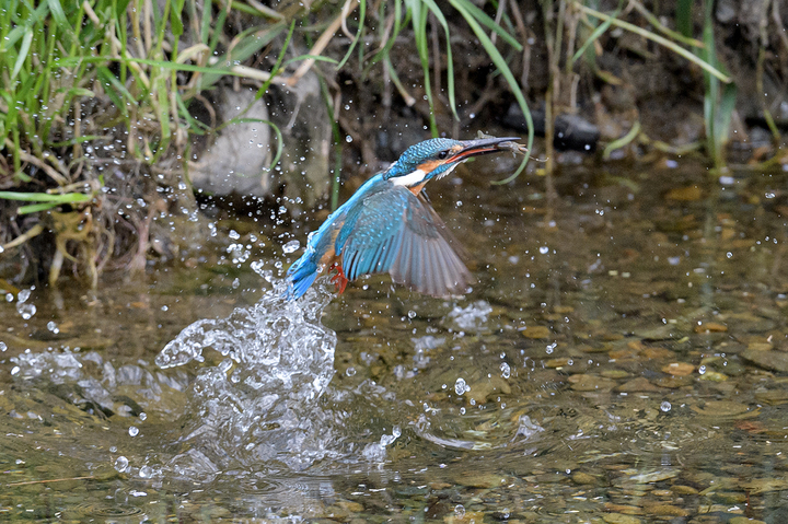 blog_pic02787.jpg