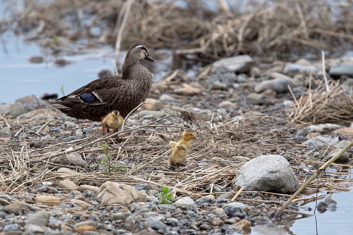 blog_pic03079.jpg