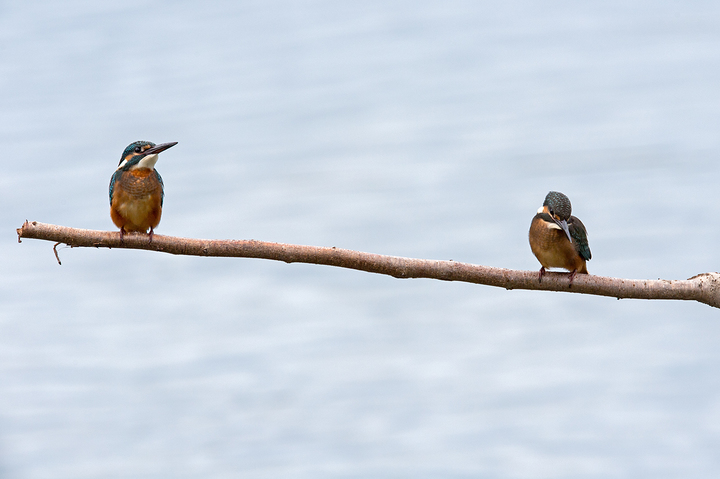 blog_pic03080.jpg