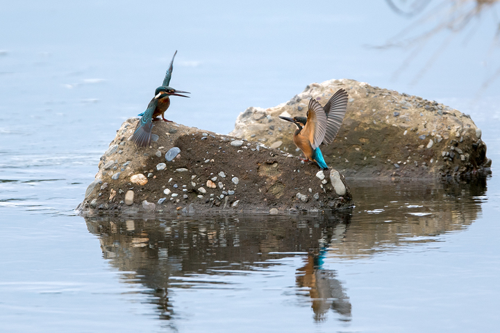 blog_pic03082.jpg