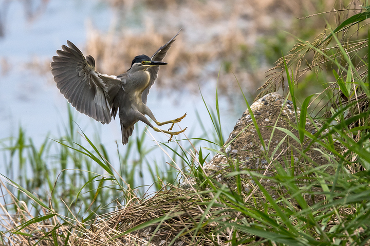 blog_pic03084.jpg