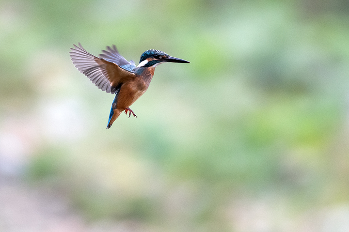 blog_pic03085.jpg