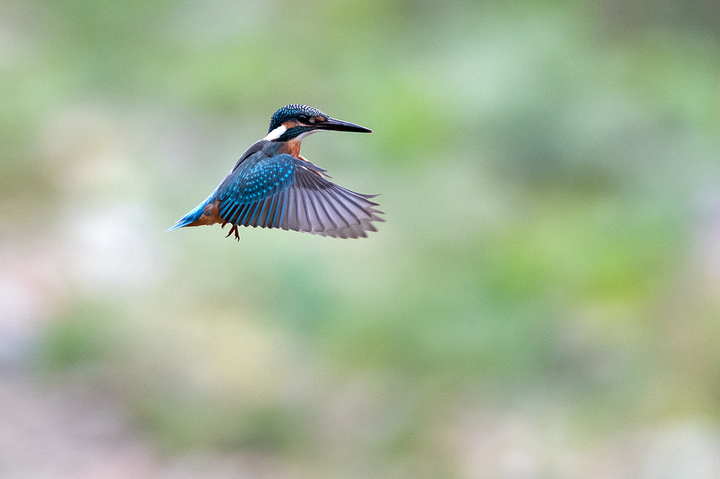 blog_pic03086.jpg
