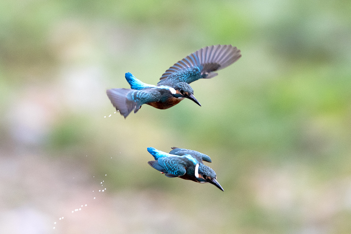 blog_pic03087.jpg