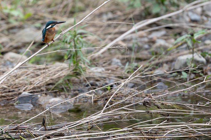 blog_pic03088.jpg