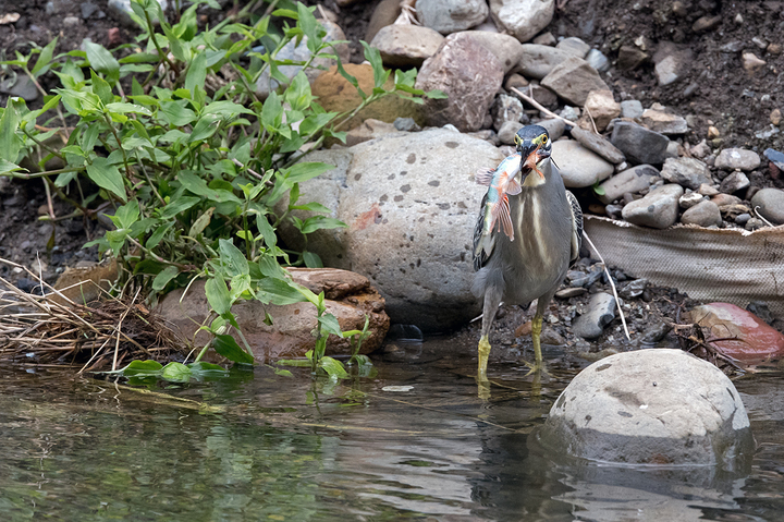 blog_pic03089.jpg