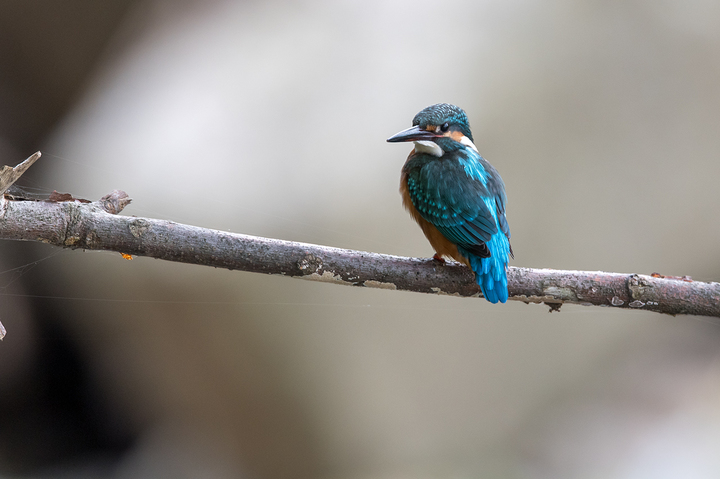 blog_pic03090.jpg