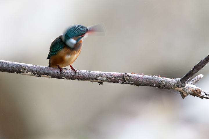 blog_pic03091.jpg