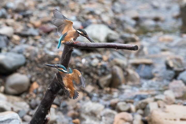 blog_pic03212.jpg