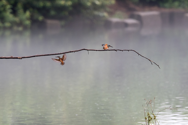 blog_pic03213.jpg