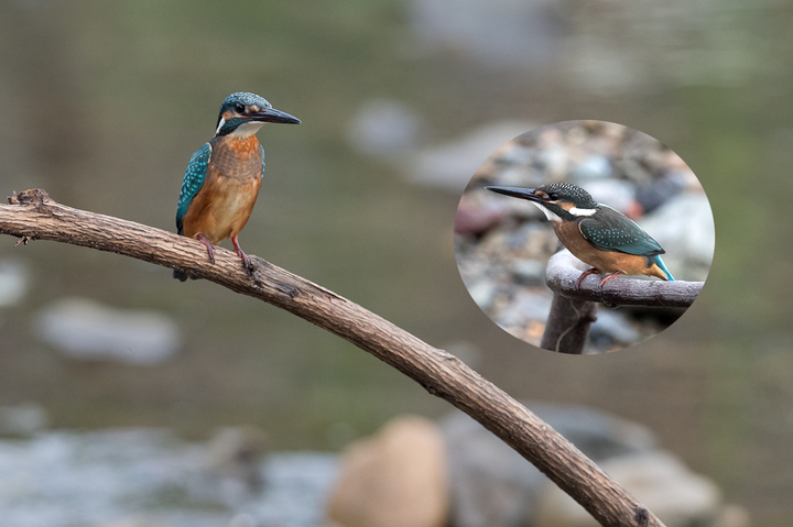 blog_pic03214.jpg