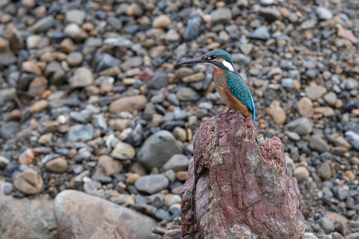 blog_pic03215.jpg