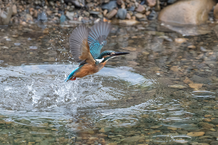 blog_pic03216.jpg