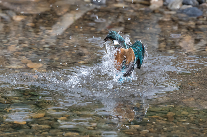 blog_pic03219.jpg