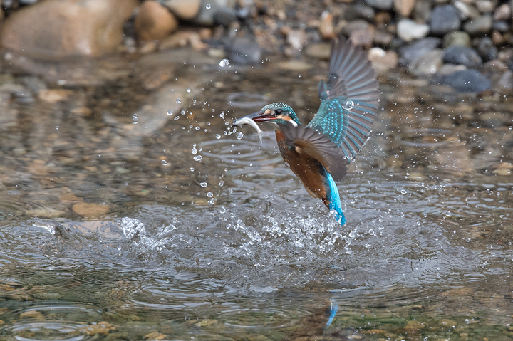 blog_pic03220.jpg