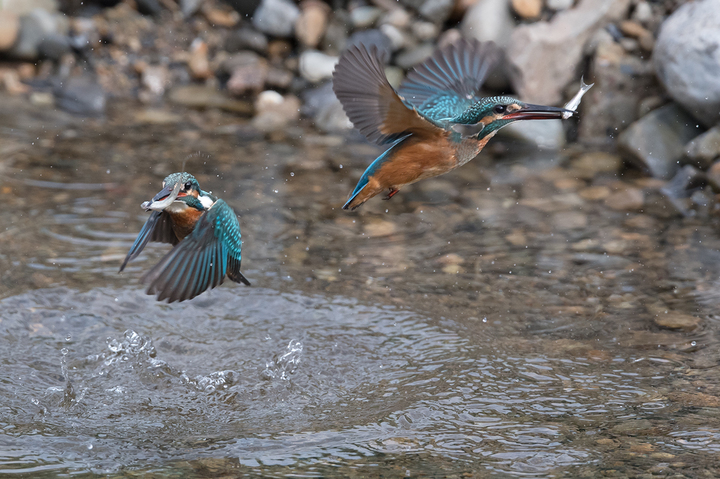 blog_pic03221.jpg