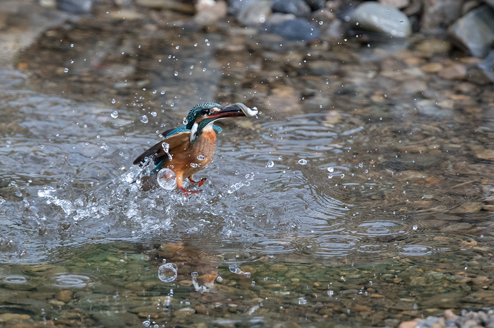 blog_pic03222.jpg