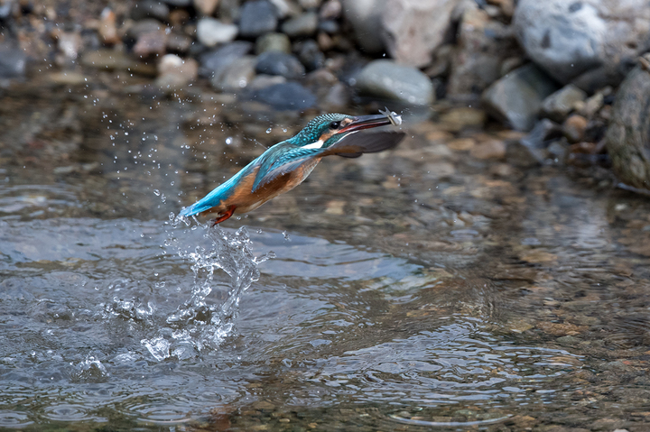 blog_pic03223.jpg