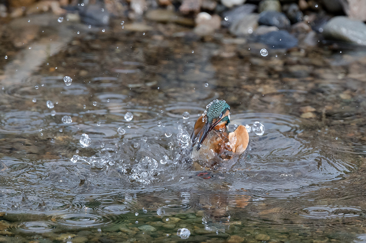blog_pic03224.jpg
