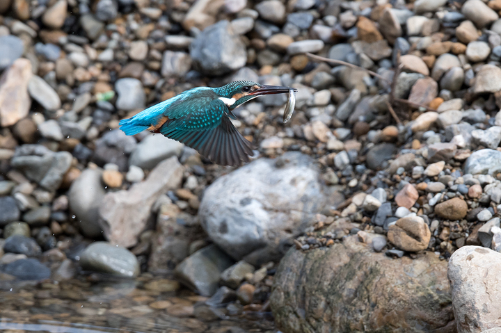 blog_pic03225.jpg