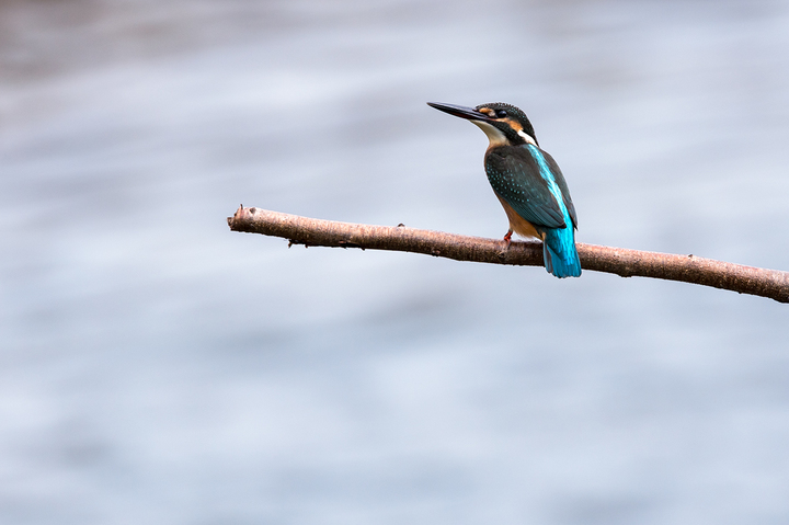 blog_pic03227.jpg