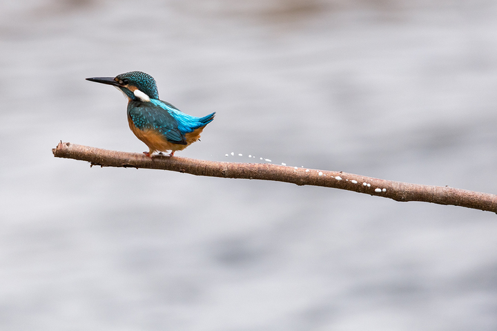 blog_pic03230.jpg