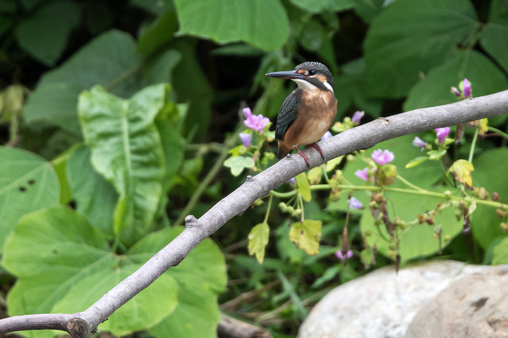 blog_pic03231.jpg