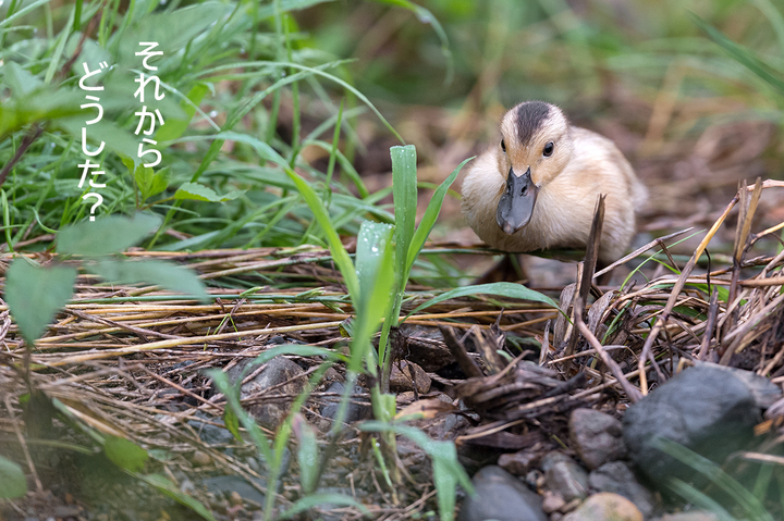 blog_pic03232.jpg