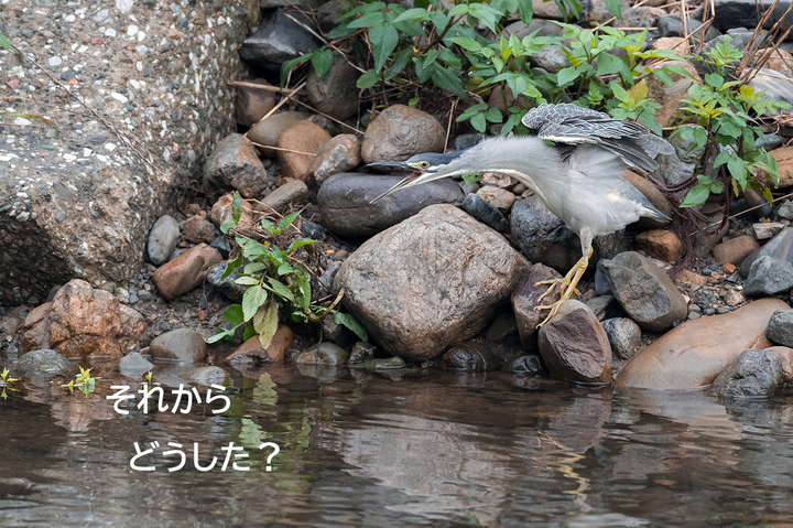 blog_pic03233.jpg