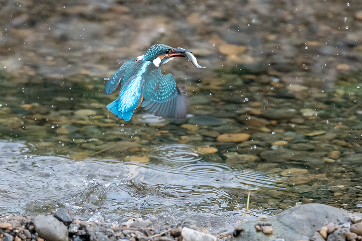 blog_pic03234.jpg