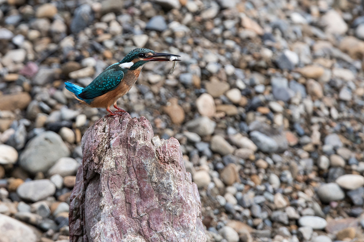 blog_pic03235.jpg