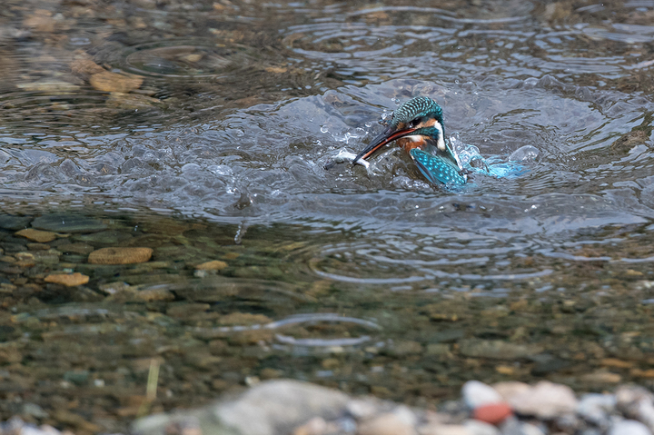 blog_pic03236.jpg