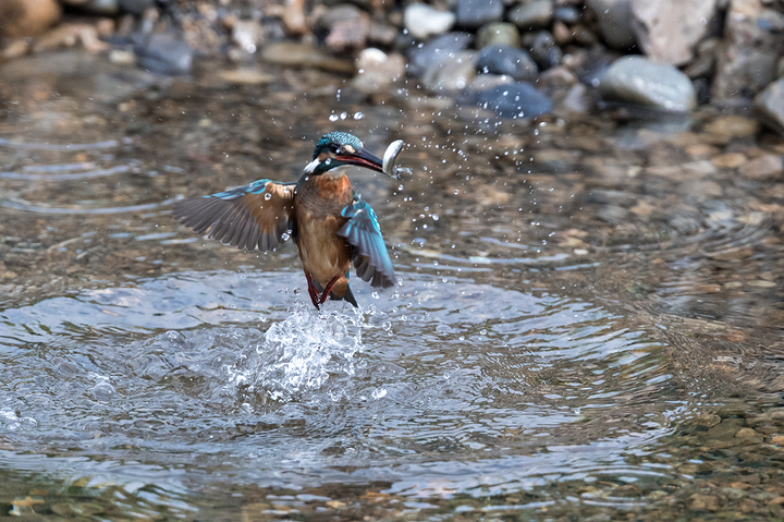blog_pic03237.jpg