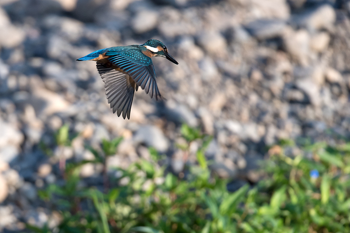 blog_pic03414.jpg