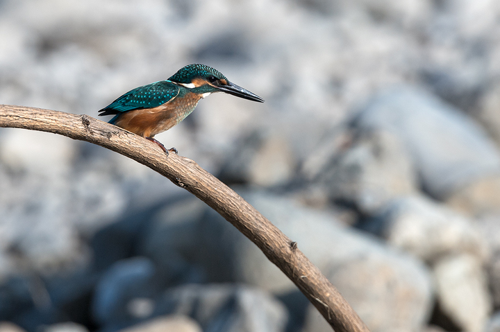 blog_pic03417.jpg