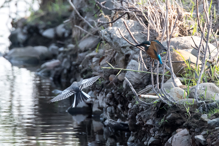 blog_pic03418.jpg