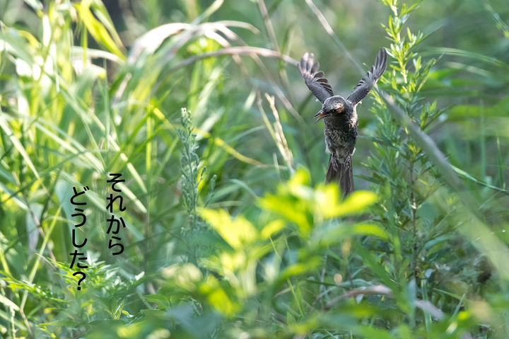 blog_pic03419.jpg
