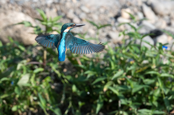 blog_pic03420.jpg