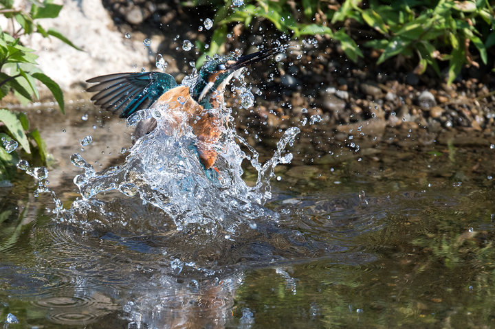 blog_pic03421.jpg